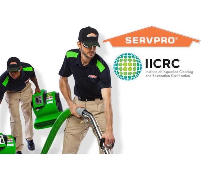 Image of two SERVPRO technicians working hard to extract water and place fans. 